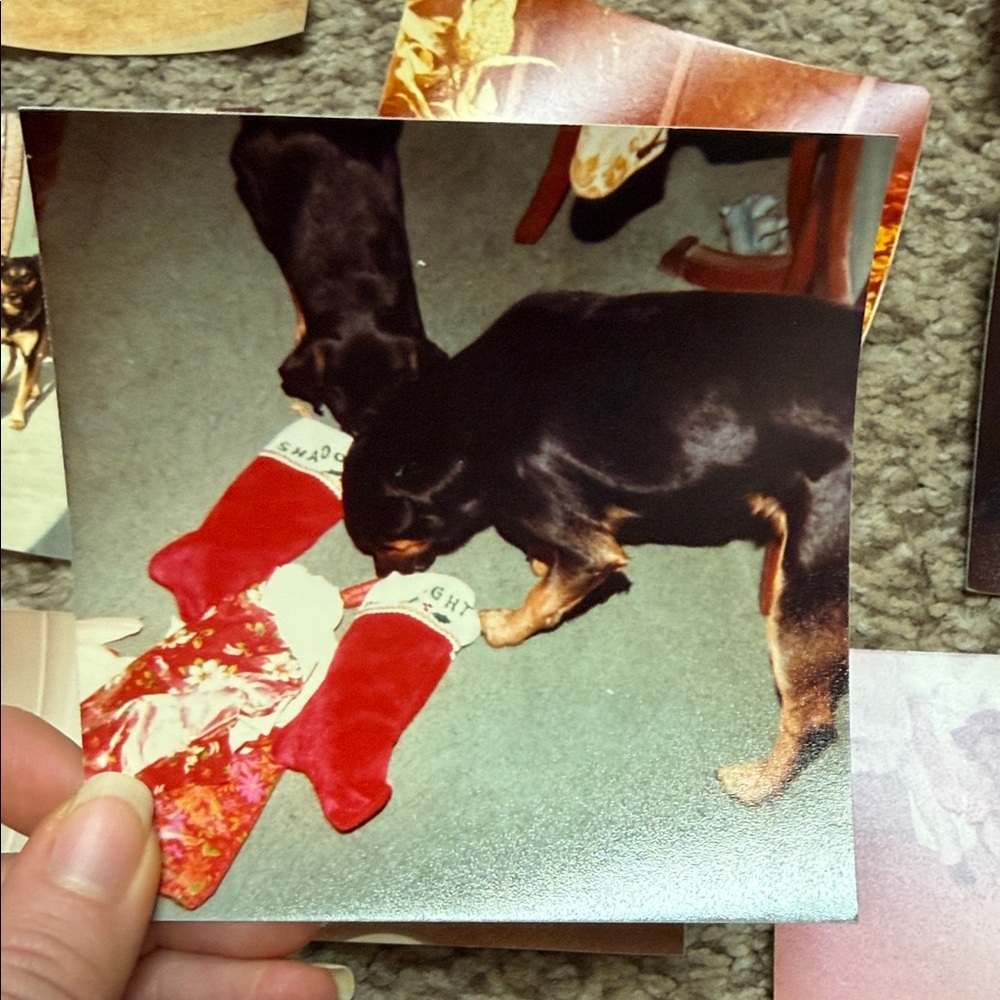 Vintage Photo Collection - Picture 2 of 11